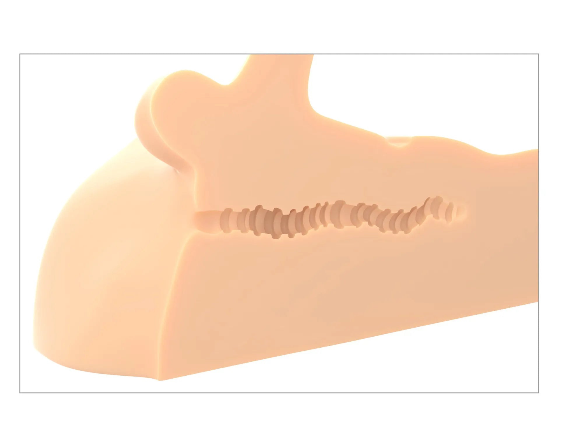 PDX Extreme Plus Perfect Ride Dual-Purpose Posable Cock Torso – Male Masturbator > Sex Toys > Sex Dolls > Premium
