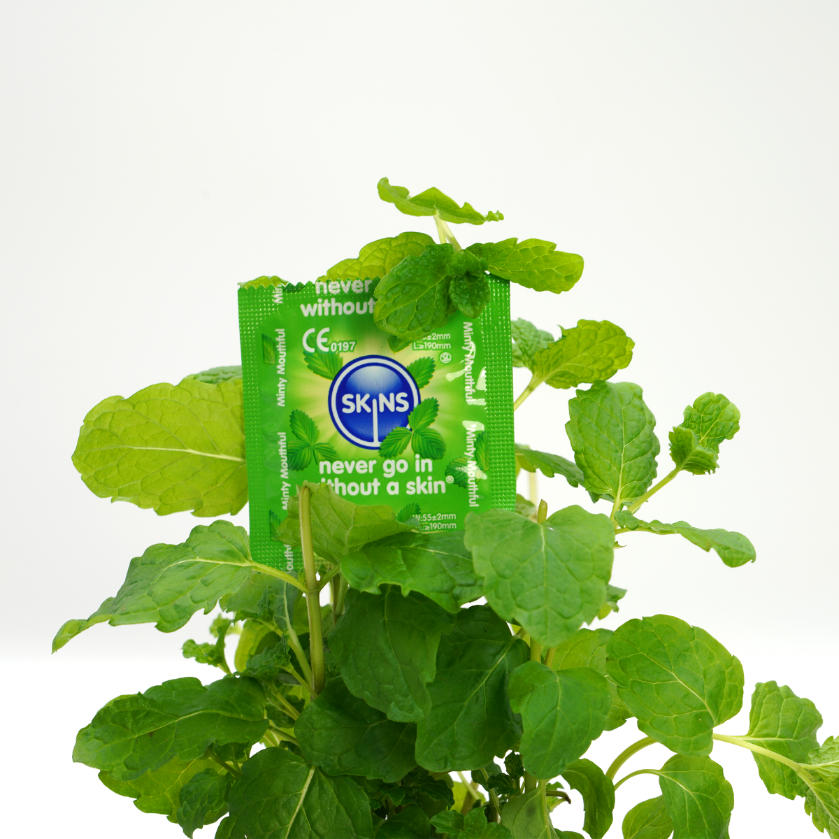 Skins Mint Condoms – Ultra-Clear Thin Natural Feel Extra Lubricated 4 Pack > Essentials > Condoms