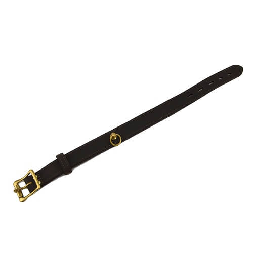 BOUND Nubuck Leather Choker with 'O' Ring Restraints