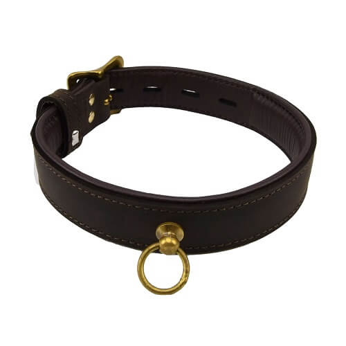 BOUND Nubuck Leather Choker with 'O' Ring Restraints