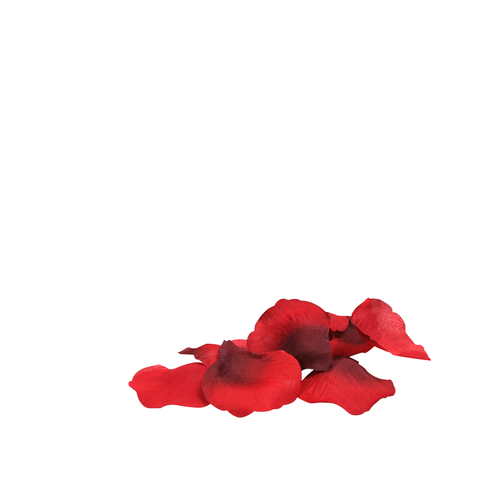 You & Me Bed of Roses Romantic Decoration – Fabric Roses Bedroom Décor > Sex Toys > Couples Toys